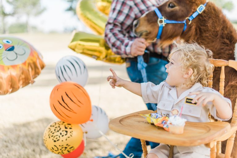 Family &#038; Corporate Event Photography