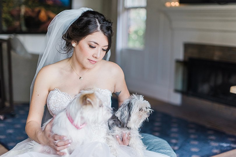 Should You Include Your Dog in Wedding Photos: Pros and Cons